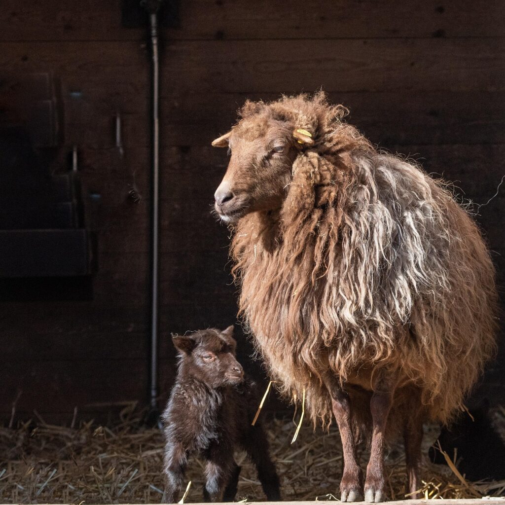 浮気を繰り返す彼と別れるべきか悩んでいるあなたへ？