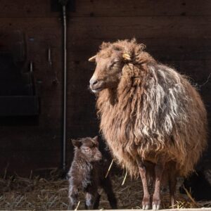 浮気を繰り返す彼と別れるべきか悩んでいるあなたへ？
