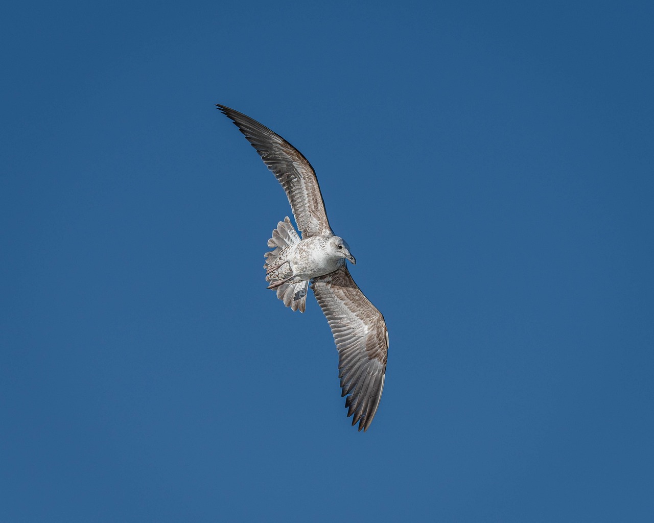 彼氏に依存している自分をどうやって別れることで悩みを解消できる？