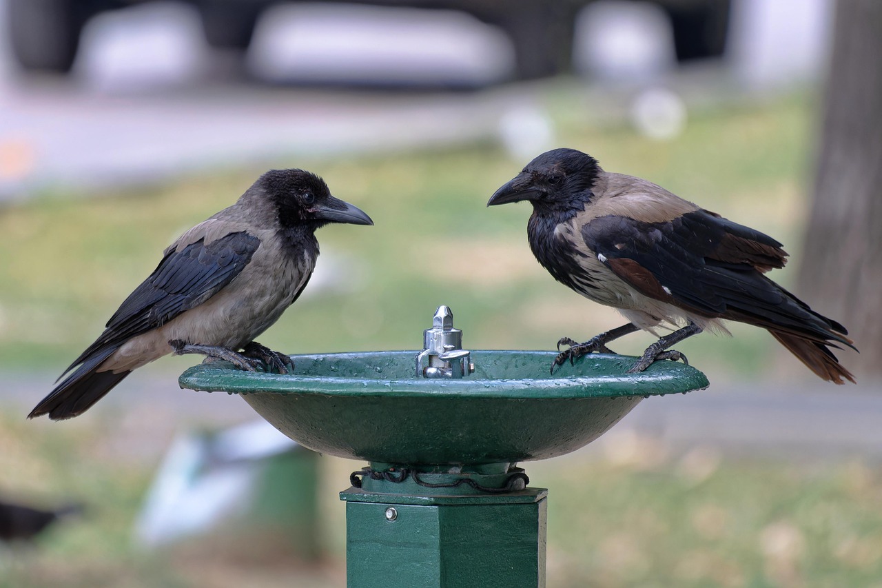 別れるべきかを考えるためのチェックリストは？
