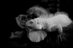 別れるべきか判断する基準は何ですか？