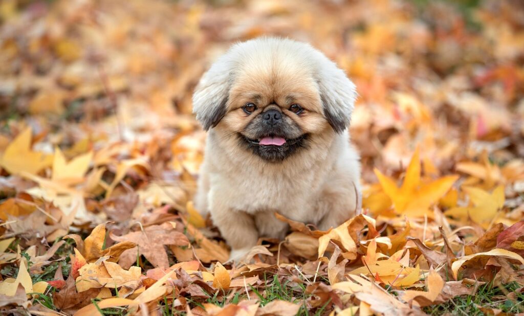 モラハラから別れるべきか悩んでいるあなたへ、判断基準は？