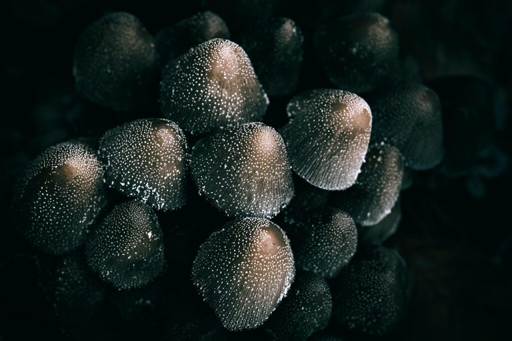 別れた後に立ち直るための方法は？