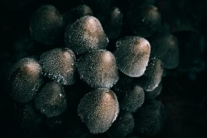 別れた後に立ち直るための方法は？