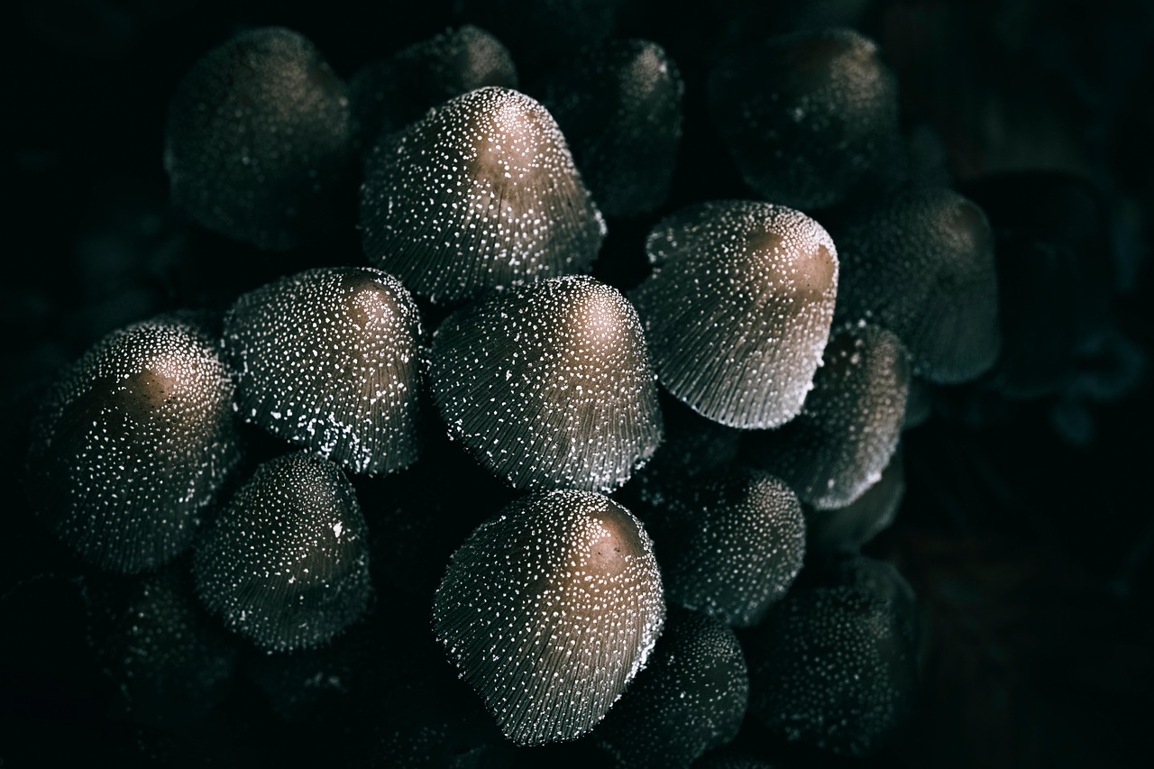 別れた後に立ち直るための方法は？