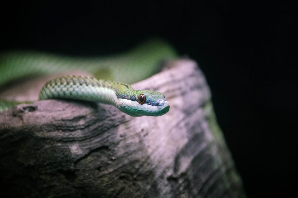 別れるか迷う心理にはどんなサインがあるの？