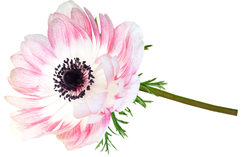 別れ話を切り出す方が知っておくべきポイントは？