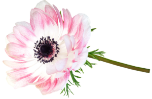 別れ話を切り出す方が知っておくべきポイントは？