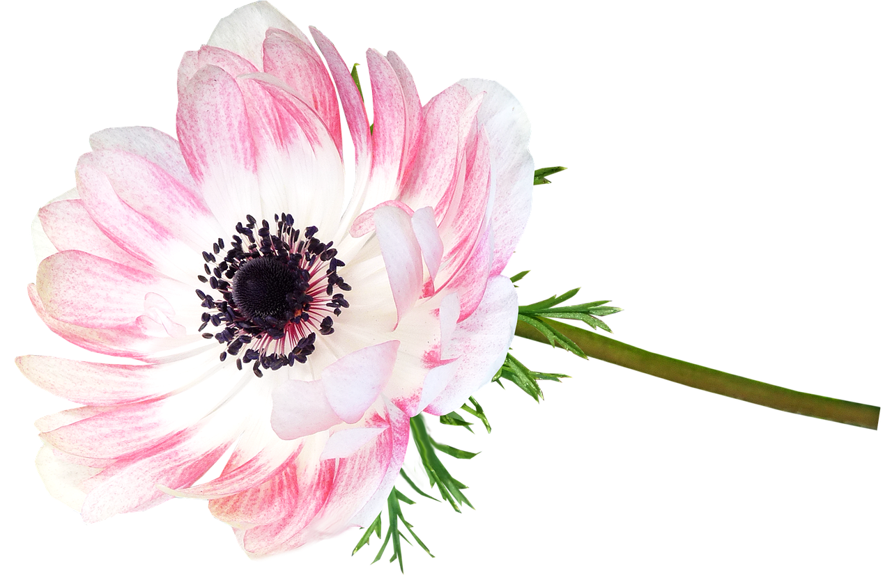 別れ話を切り出す方が知っておくべきポイントは？