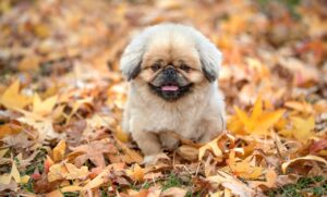 別れた方がいいと感じる前兆とは何ですか？