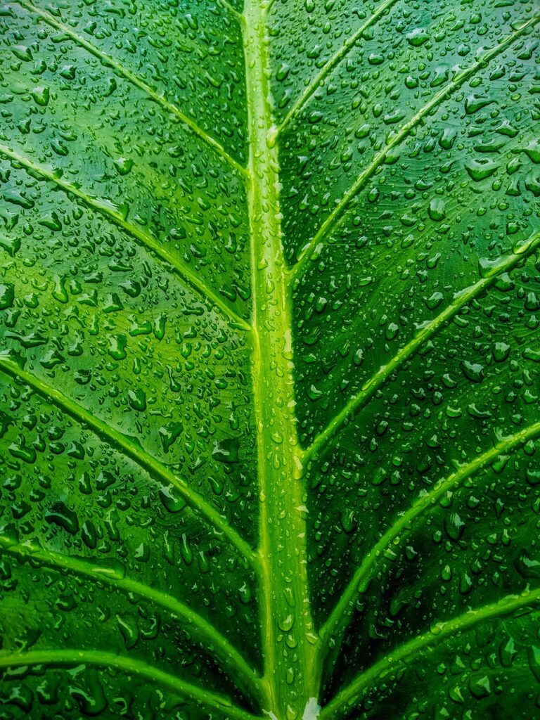 年の差恋愛は本当に別れるべきなのか？