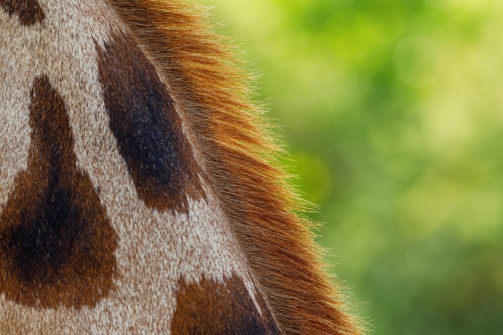 彼女が嫉妬が激しい場合、別れるべきかどうかの判断基準は？