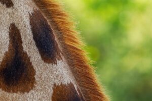 連絡ない彼女と別れるべきか悩んでいるあなたへ？