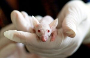 モテる女の特徴を研究したカウンセリングの比較とおすすめは？