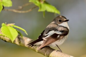 失恋ソングで励まされるおすすめランキングは？口コミもチェック！