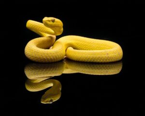 毒親の影響が恋愛に与える影響とは？カウンセリング体験談とおすすめ方法を紹介！