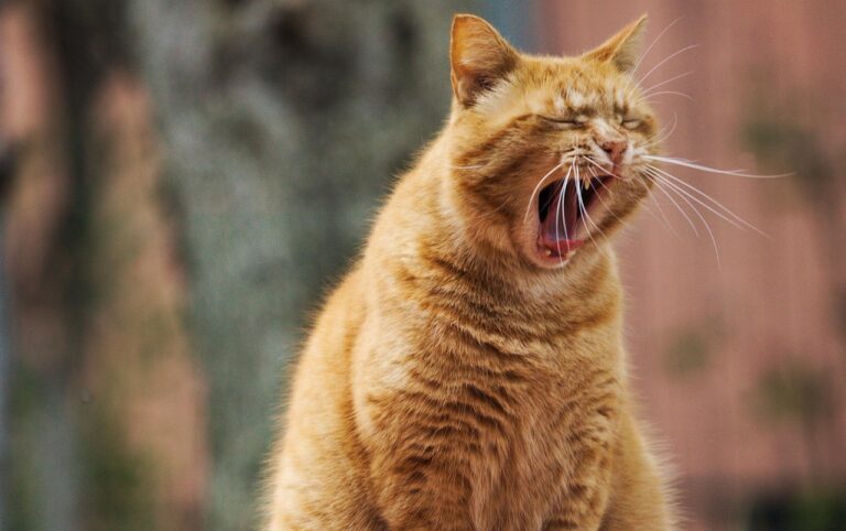 メンヘラの恋愛に疲れたあなたへ、カウンセリングのおすすめ比較は？