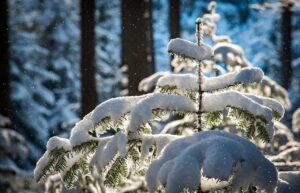 別れた方が幸せになる事例とは？