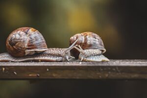 別れの理由を確認するために知っておくべきことは？