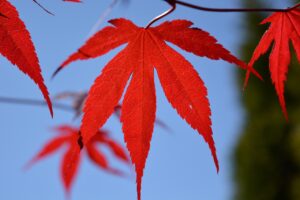 恋愛の終わりの判断基準は何？