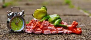 恋愛の終わりの原因は何？あなたの悩みを解決するヒントがここに！