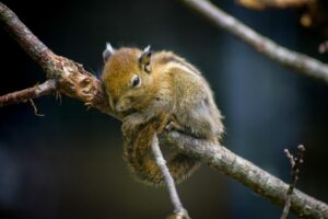 恋愛に疲れたと感じたときの対処法は？